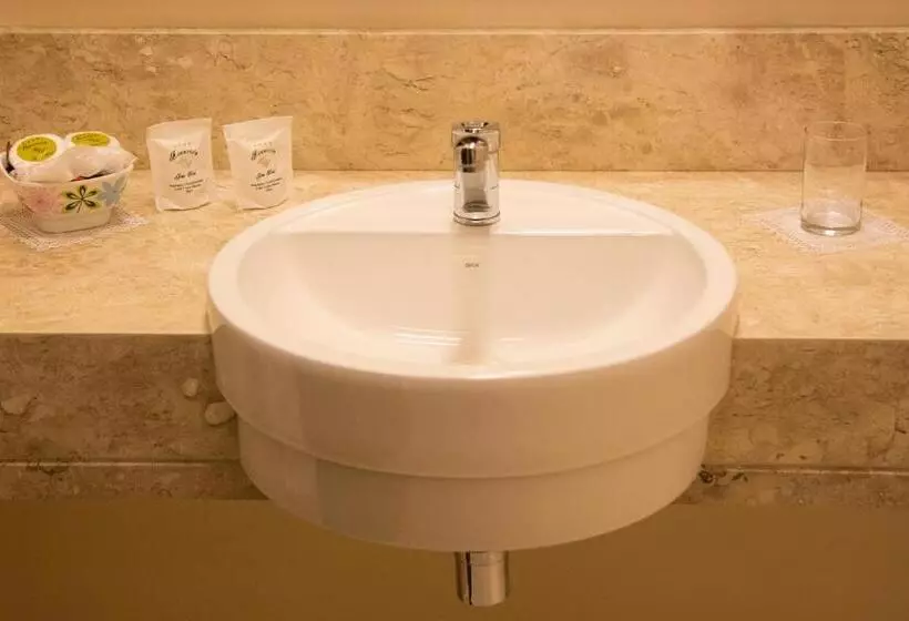 اتاق استاندارد یک نفره, Asunción Gran