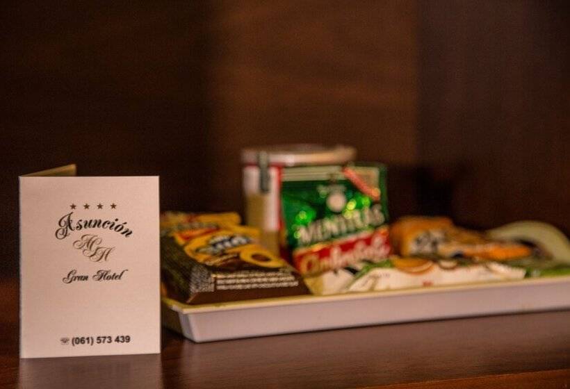 اتاق استاندارد یک نفره, Asunción Gran