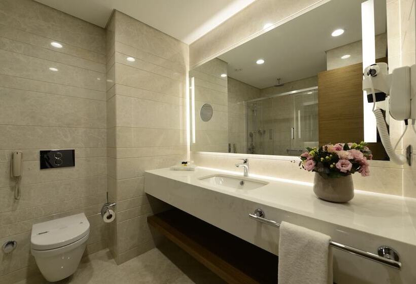 Premium Room City View, Holiday Inn Bursa City Centre, An Ihg