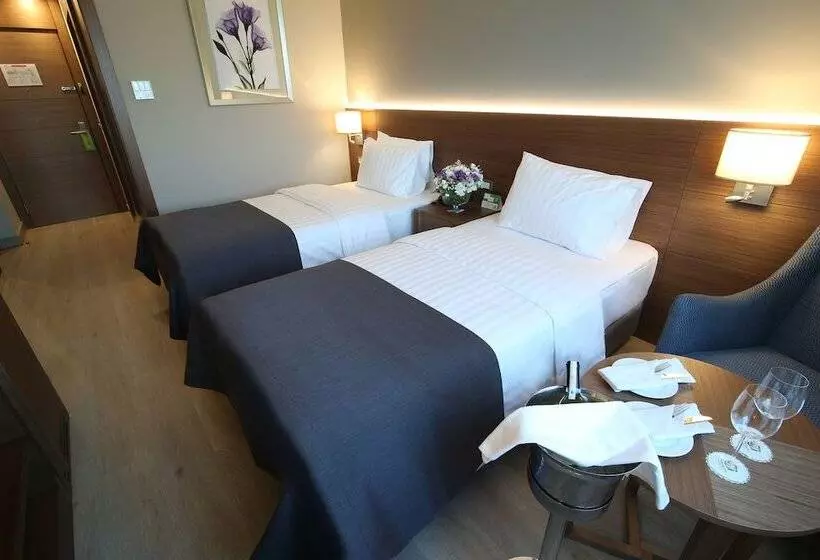 Standard Room Double Bed City View, Holiday Inn Bursa City Centre, An Ihg