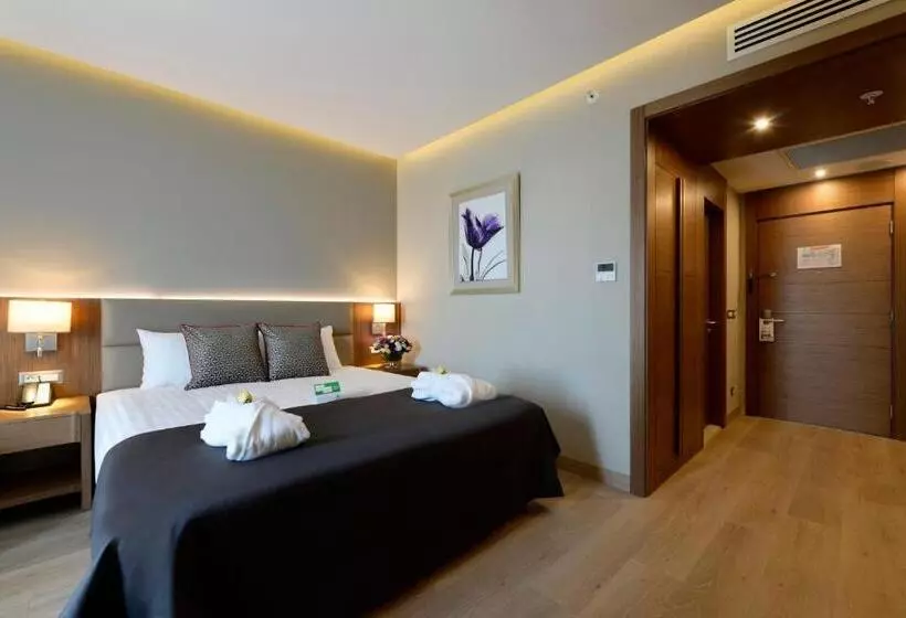 اتاق استاندارد با تراس, Holiday Inn Bursa City Centre, An Ihg
