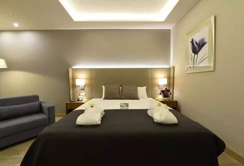 اتاق استاندارد, Holiday Inn Bursa City Centre, An Ihg