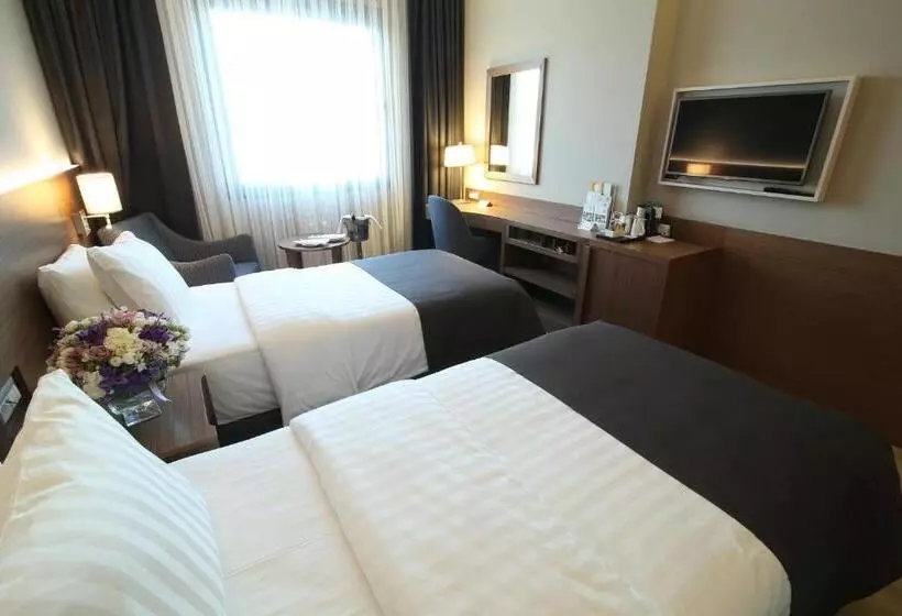 اتاق استاندارد با تراس, Holiday Inn Bursa City Centre, An Ihg