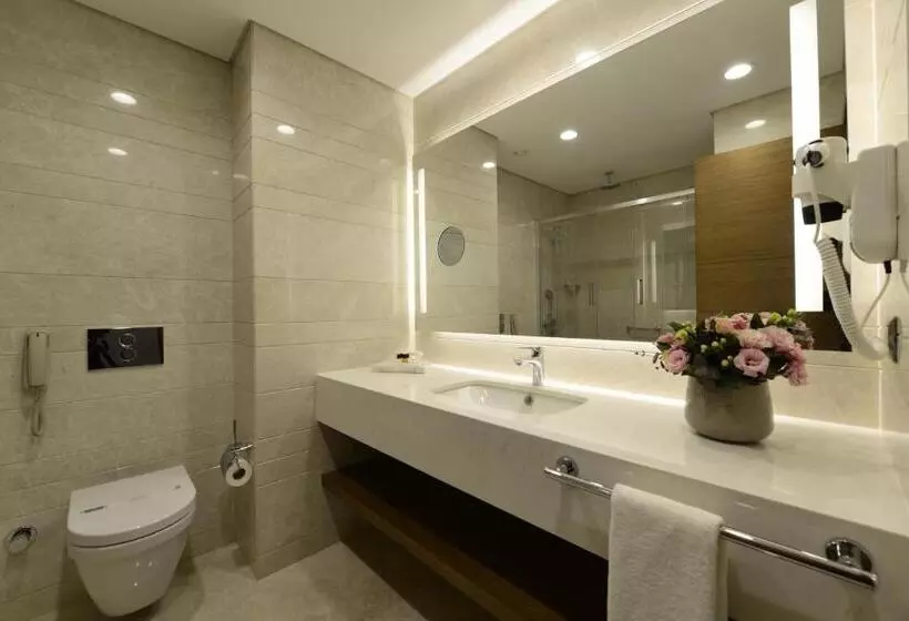 اتاق اجرایی, Holiday Inn Bursa City Centre, An Ihg