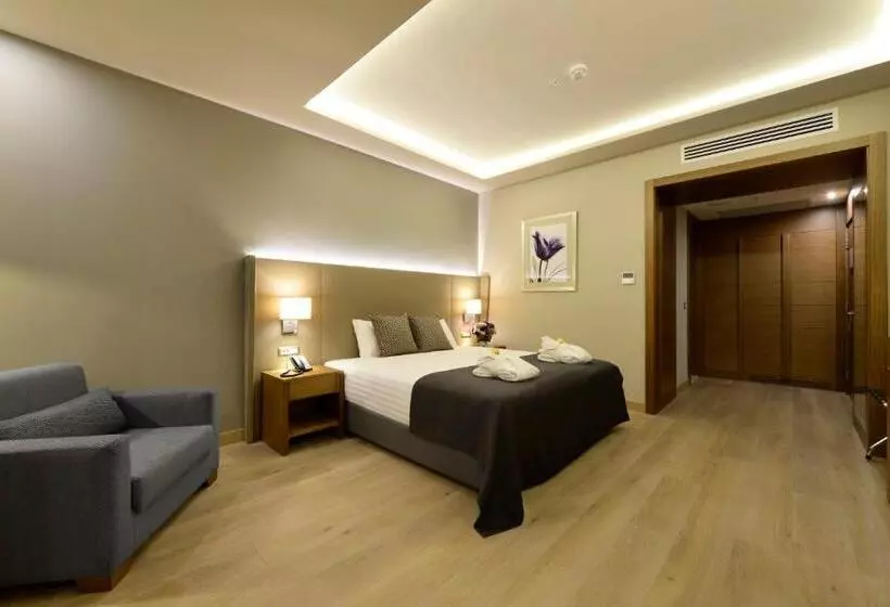 اتاق استاندارد با تخت بزرگ, Holiday Inn Bursa City Centre, An Ihg