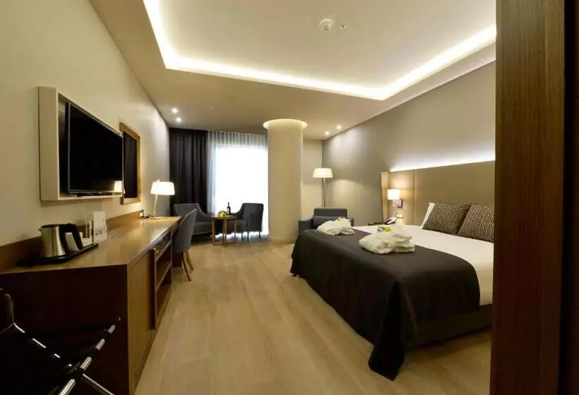 اتاق استاندارد با تخت بزرگ, Holiday Inn Bursa City Centre, An Ihg