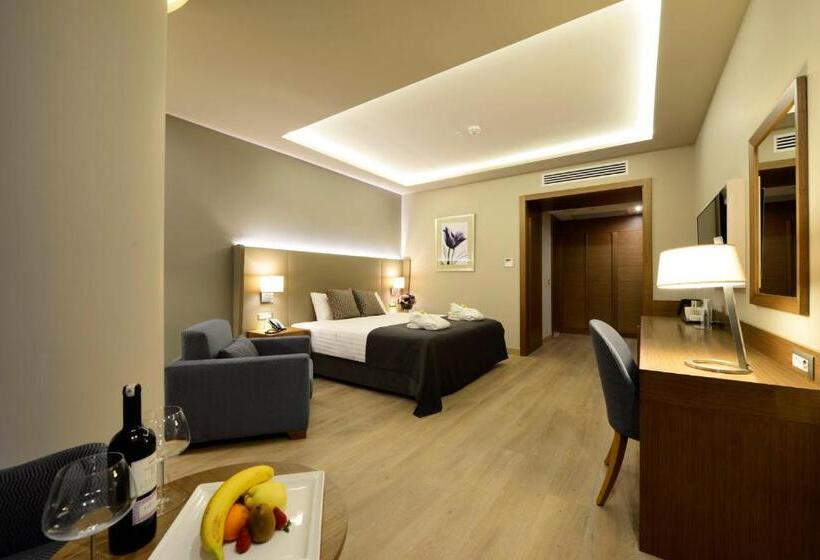 اتاق استاندارد با تخت بزرگ, Holiday Inn Bursa City Centre, An Ihg