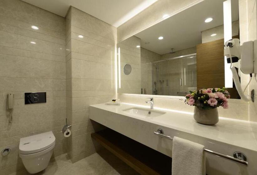 اتاق استاندارد با تخت بزرگ, Holiday Inn Bursa City Centre, An Ihg