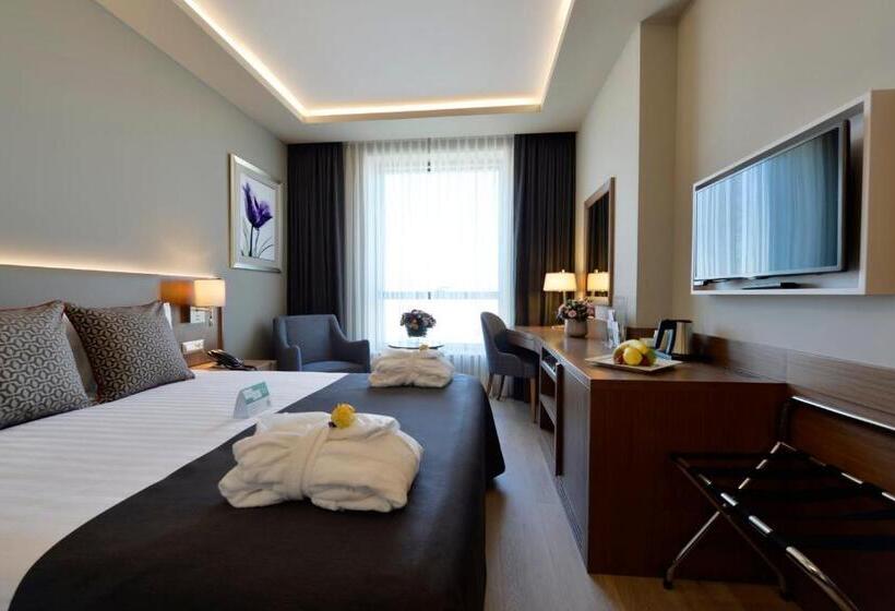 اتاق استاندارد برای معلولان, Holiday Inn Bursa   City Centre, An Ihg