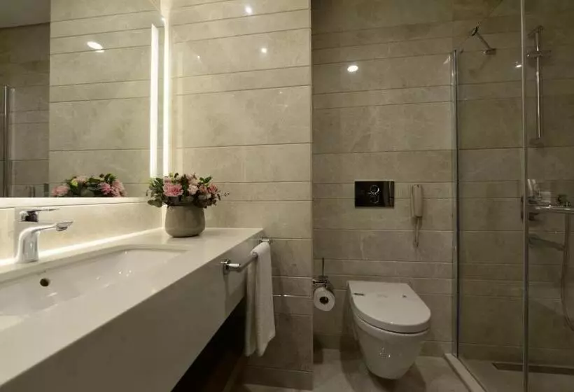 اتاق استاندارد برای معلولان, Holiday Inn Bursa City Centre, An Ihg