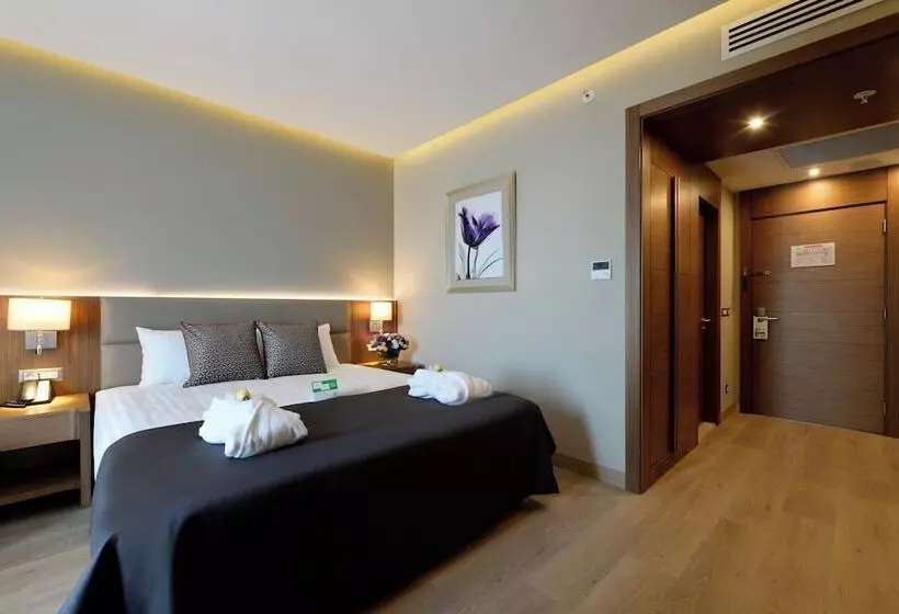Standard Room Double Bed City View, Holiday Inn Bursa City Centre, An Ihg