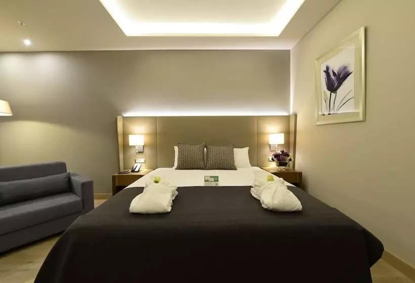 Standard Room Double Bed City View, Holiday Inn Bursa City Centre, An Ihg