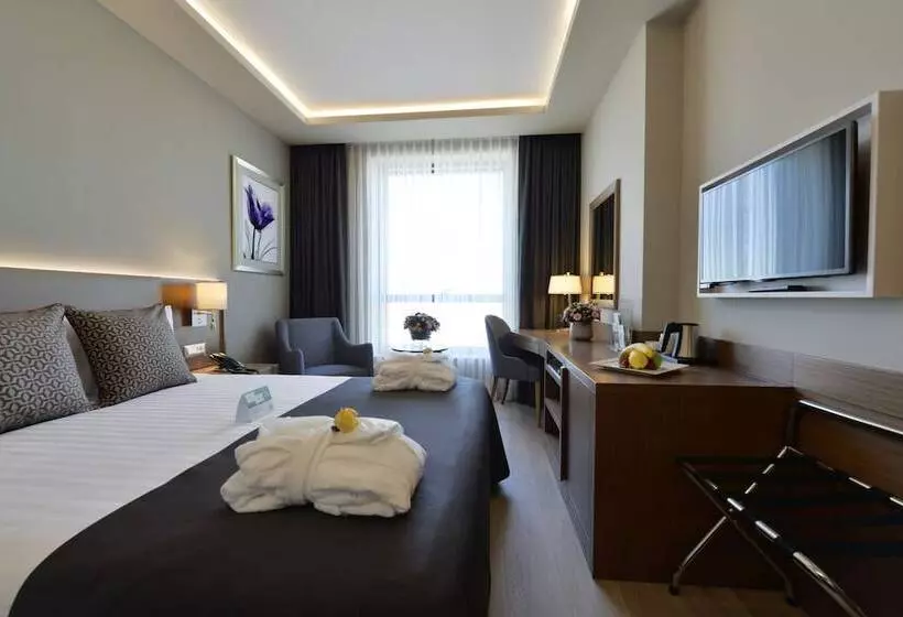 Standard Room Double Bed City View, Holiday Inn Bursa City Centre, An Ihg