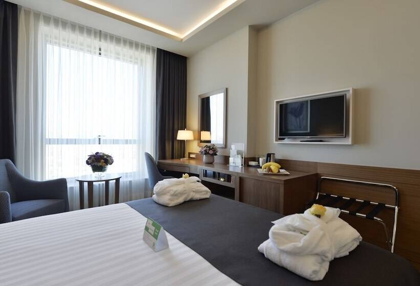 Standard Room Double Bed City View, Holiday Inn Bursa   City Centre, An Ihg