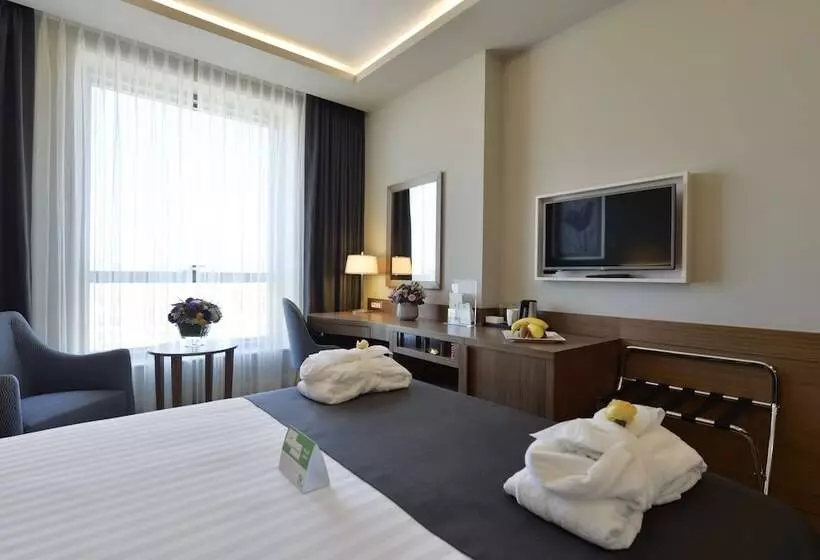 Standard Room Double Bed City View, Holiday Inn Bursa City Centre, An Ihg
