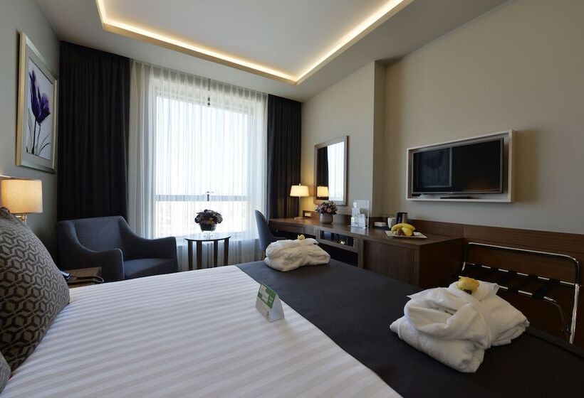 Standard Room Double Bed City View, Holiday Inn Bursa City Centre, An Ihg
