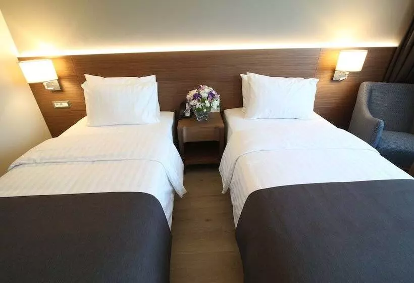 اتاق استاندارد با چشمانداز شهر, Holiday Inn Bursa City Centre, An Ihg