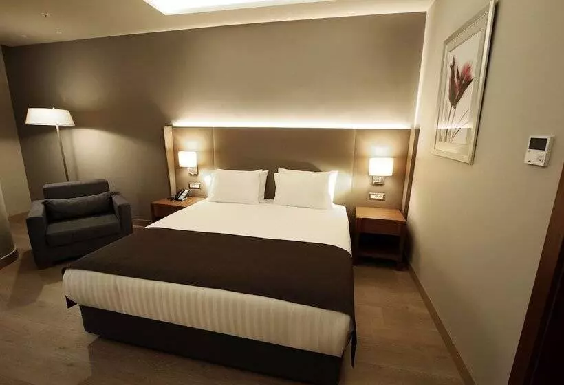 Premium Room City View, Holiday Inn Bursa City Centre, An Ihg