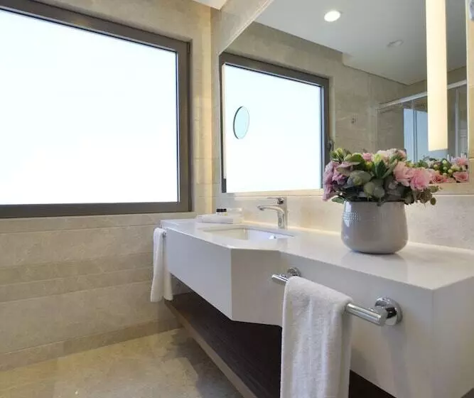 Premium Room City View, Holiday Inn Bursa City Centre, An Ihg