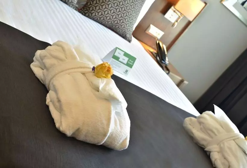 اتاق استاندارد با تخت دوبل, Holiday Inn Bursa City Centre, An Ihg