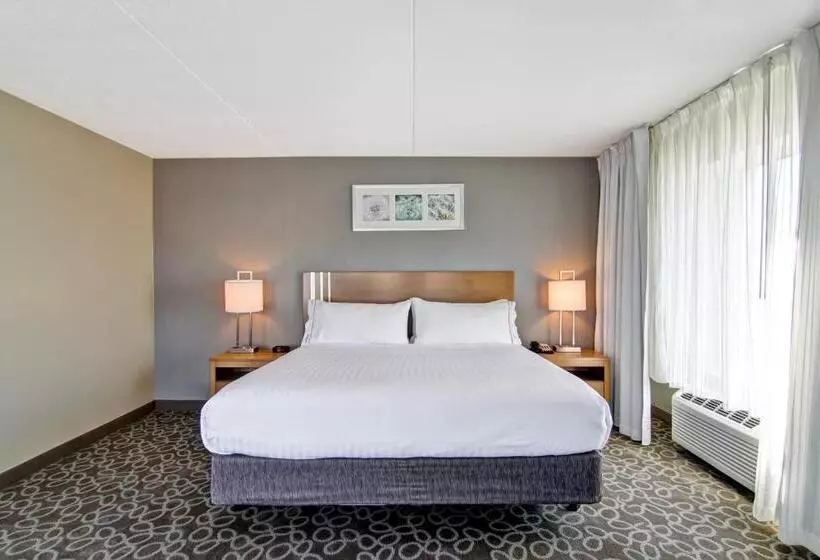 Standard-invahuone King-vuode, Holiday Inn Express & Suites Oshawa Downtown Toronto Area, An Ihg