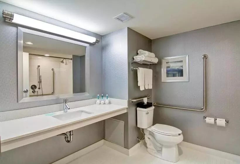 Standard-invahuone King-vuode, Holiday Inn Express & Suites Oshawa Downtown Toronto Area, An Ihg