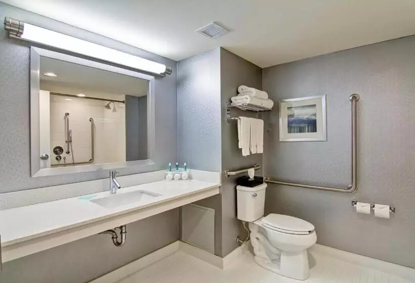 Standard-invahuone King-vuode, Holiday Inn Express & Suites Oshawa Downtown Toronto Area, An Ihg