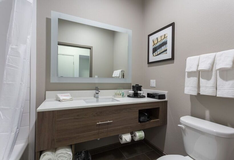 스탠다드 룸, Holiday Inn San Marcos Convention Center, An Ihg