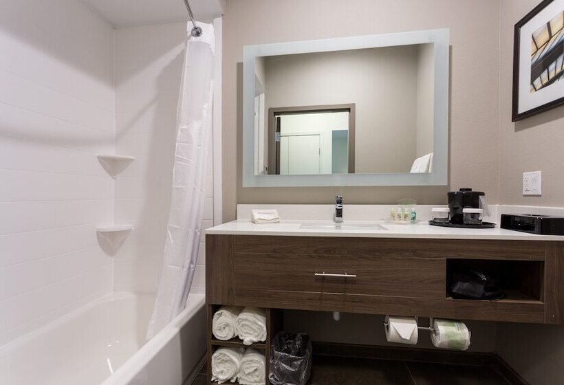 Номер Стандарт, Holiday Inn San Marcos Convention Center, An Ihg