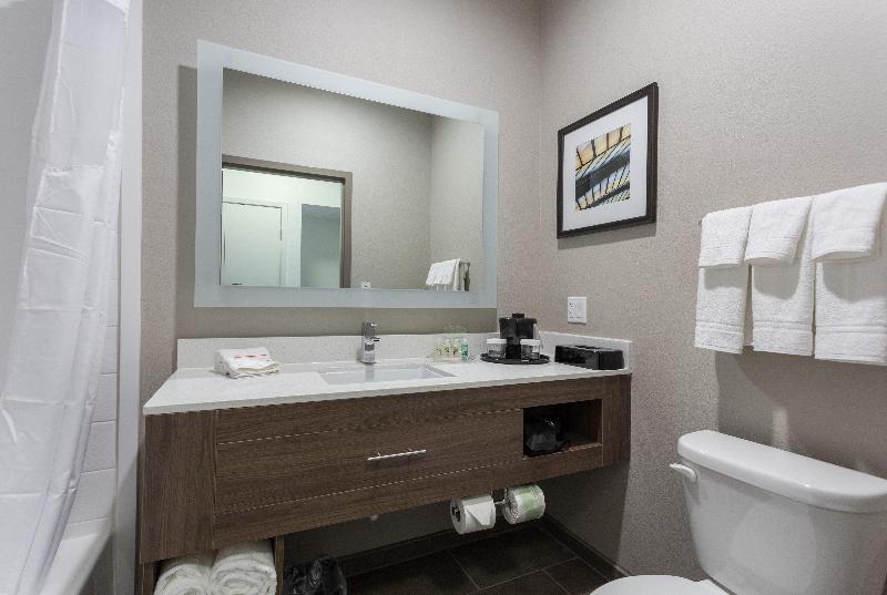 스탠다드 룸 킹사이즈 침대, Holiday Inn San Marcos Convention Center, An Ihg