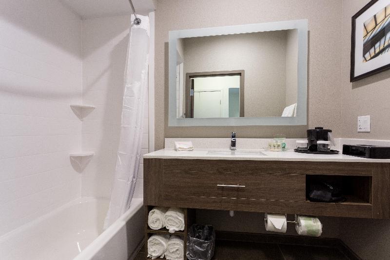 스탠다드 룸 킹사이즈 침대, Holiday Inn San Marcos Convention Center, An Ihg