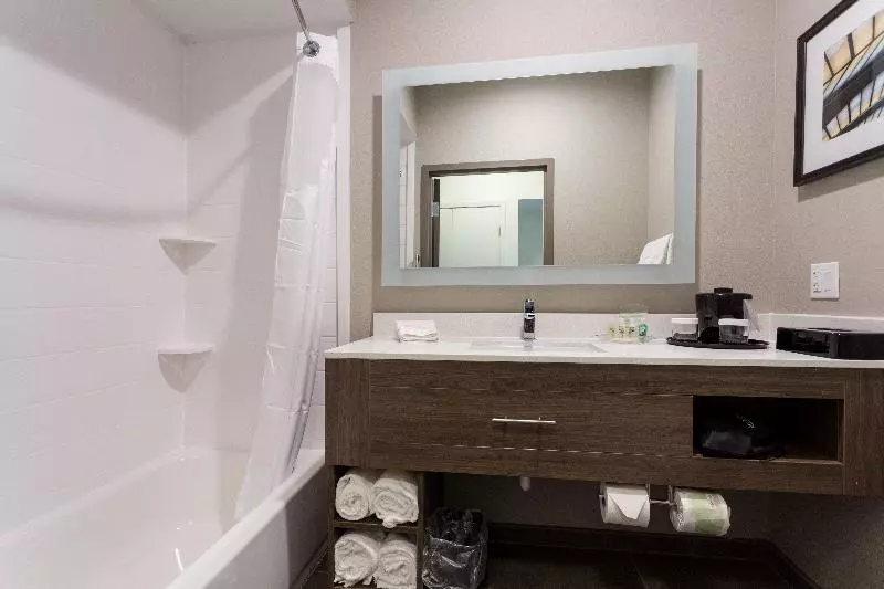 Deluxe-huone King-vuode, Holiday Inn San Marcos Convention Center, An Ihg