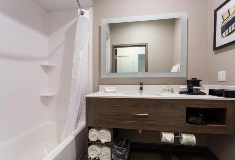 스탠다드 룸 킹사이즈 침대, Holiday Inn San Marcos Convention Center, An Ihg