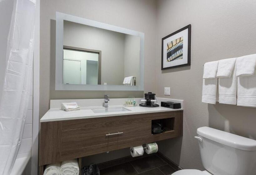 Номер Deluxe Кровать Кинг, Holiday Inn San Marcos Convention Center, An Ihg