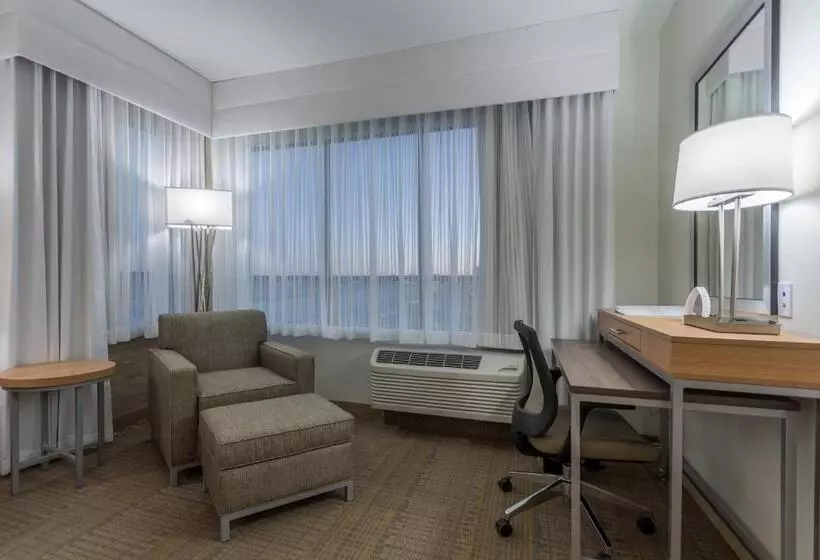 Deluxe-huone King-vuode, Holiday Inn San Marcos Convention Center, An Ihg
