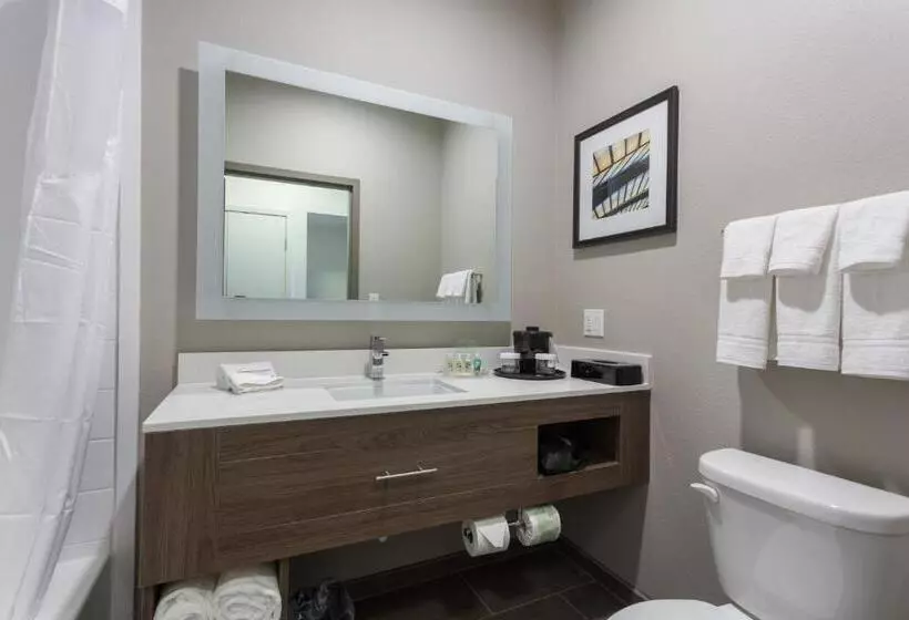 Standard-huone, Holiday Inn San Marcos Convention Center, An Ihg