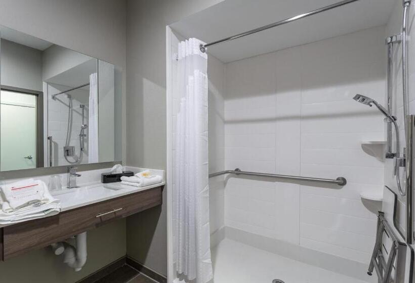 Номер Стандарт, Holiday Inn San Marcos Convention Center, An Ihg