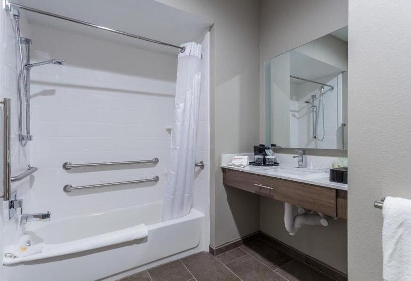 장애인을 위한 스탠다드 룸, Holiday Inn San Marcos Convention Center, An Ihg