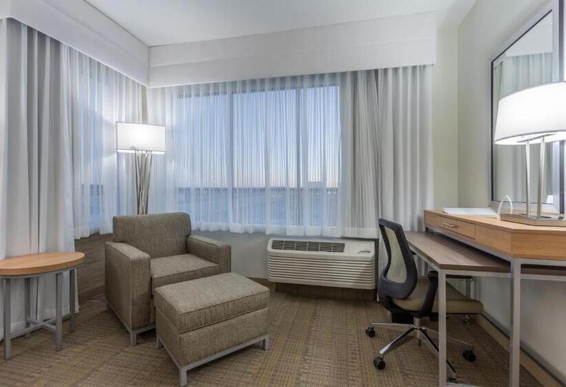 Стандартный Номер Кровать Кинг, Holiday Inn San Marcos Convention Center, An Ihg