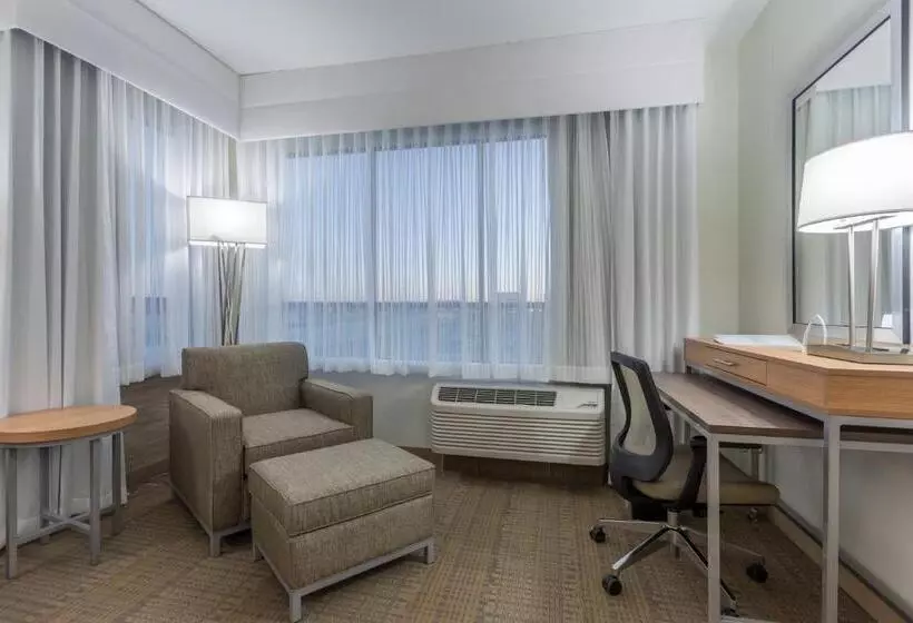 Standard-huone King-vuode, Holiday Inn San Marcos Convention Center, An Ihg