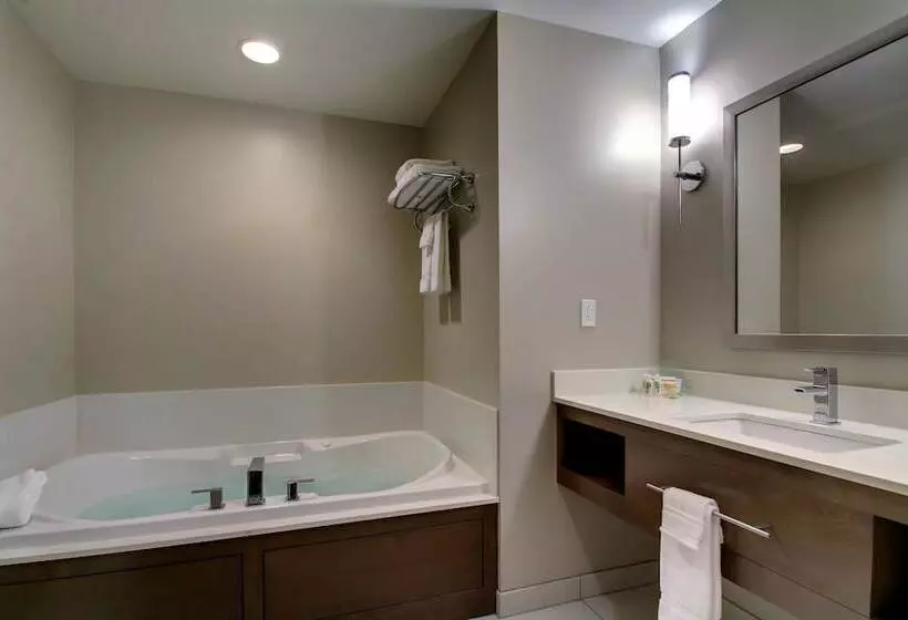 キングサイズベッドのスイートルーム, Holiday Inn & Suites Peoria At Grand Prairie, An Ihg