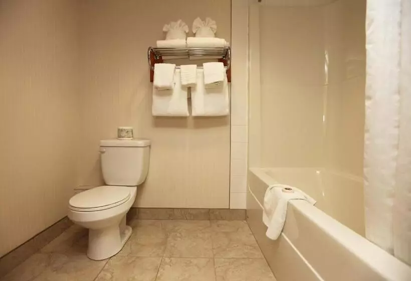 スタンダードルーム, St. Albert Inn & Suites