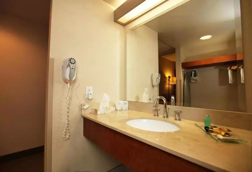 スタンダードルーム, St. Albert Inn & Suites