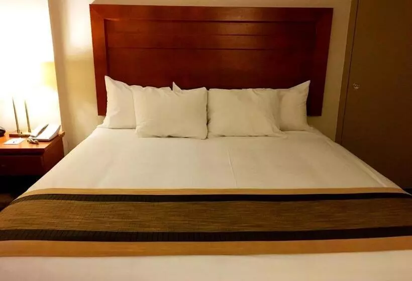 キングサイズベッドのスタンダードルーム, St. Albert Inn & Suites