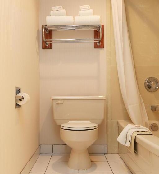 キングサイズベッドのスタンダードルーム, St. Albert Inn & Suites