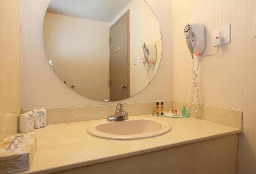 キングサイズベッドのスタンダードルーム, St. Albert Inn & Suites