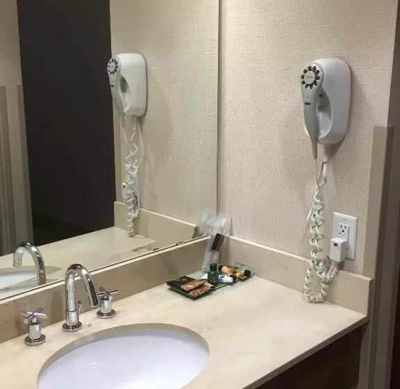 エクゼクティブルーム, St. Albert Inn & Suites