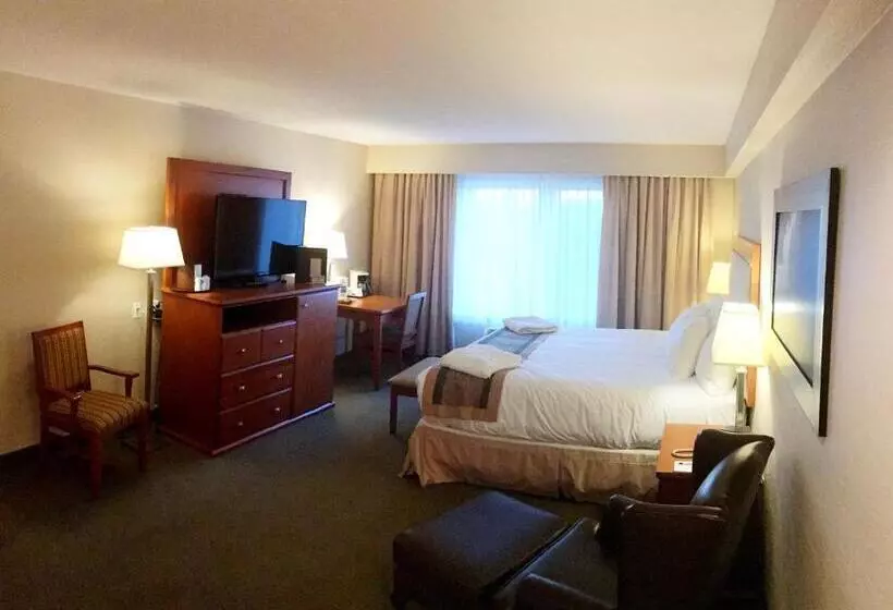 エクゼクティブルーム, St. Albert Inn & Suites