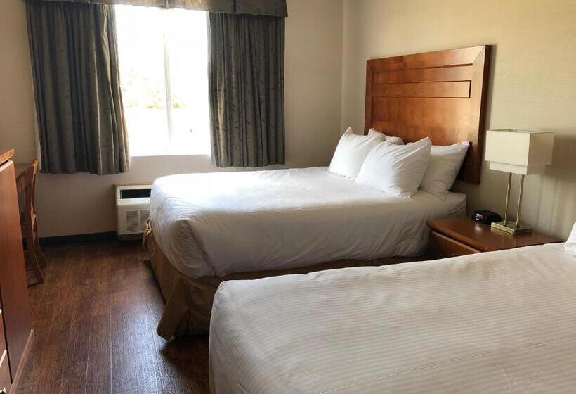 スタンダードルーム, St. Albert Inn & Suites