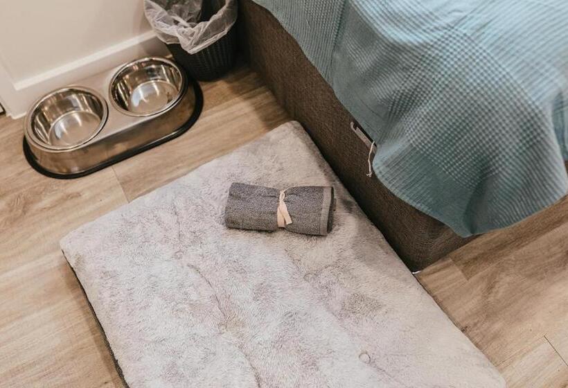 스탠다드 룸 킹사이즈 침대, The Rest And Be Thankful Inn